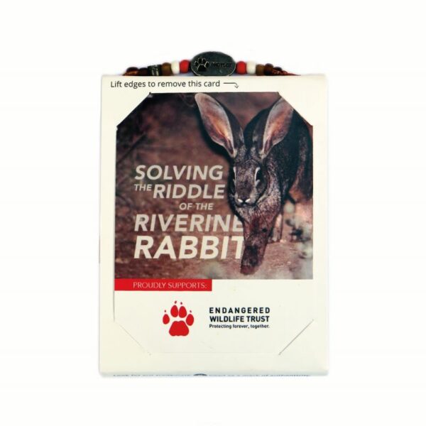 Riverine Rabbit