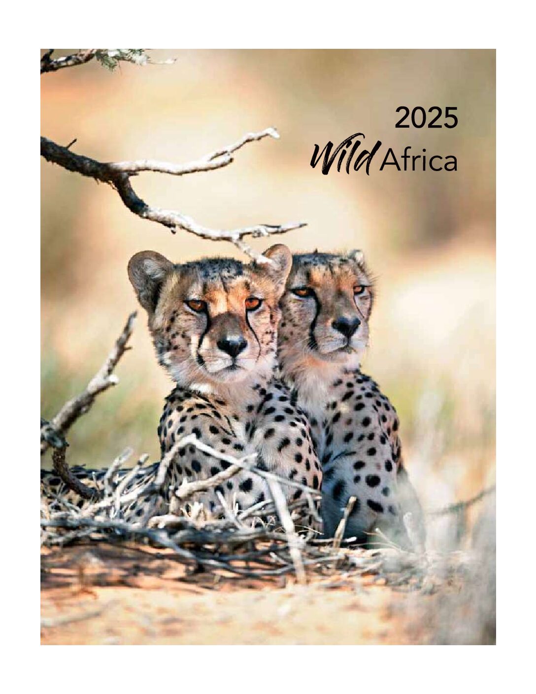 2025 wildlife wall calendar