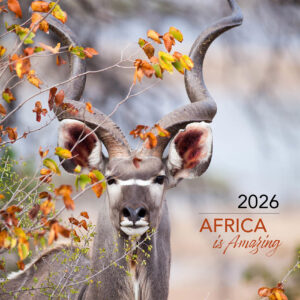 2026 wildlife wall calendar