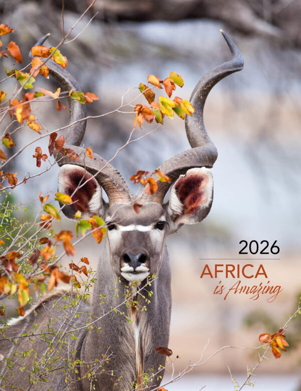 2026 wildlife wall calendar