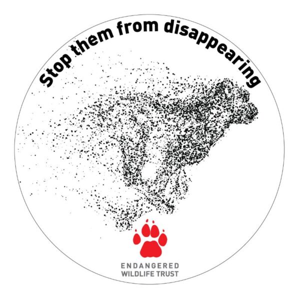 EWT licence disk sticker - disappearing Cheetah