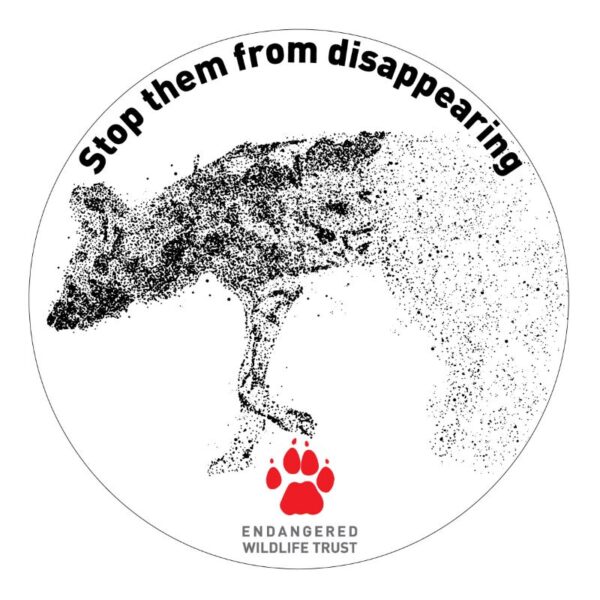 EWT licence disk sticker - disappearing Wild Dog