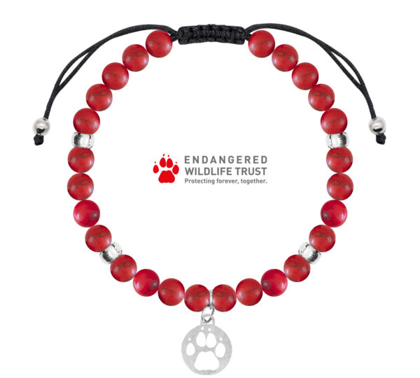 50th Anniversary EWT x Wild in Africa Bracelet