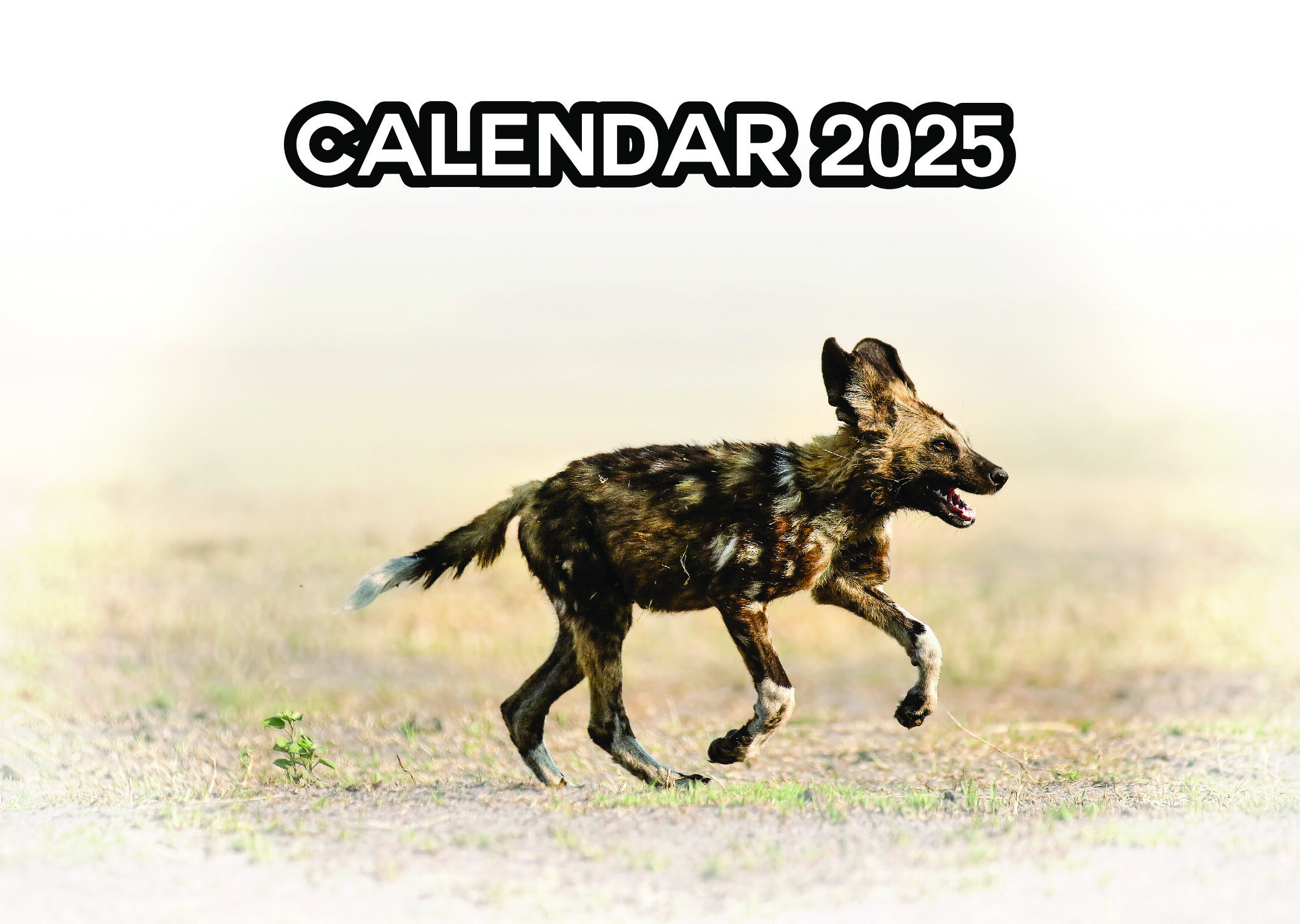 2025 Wildlife Calendar by Gavin, Gaby and Liz